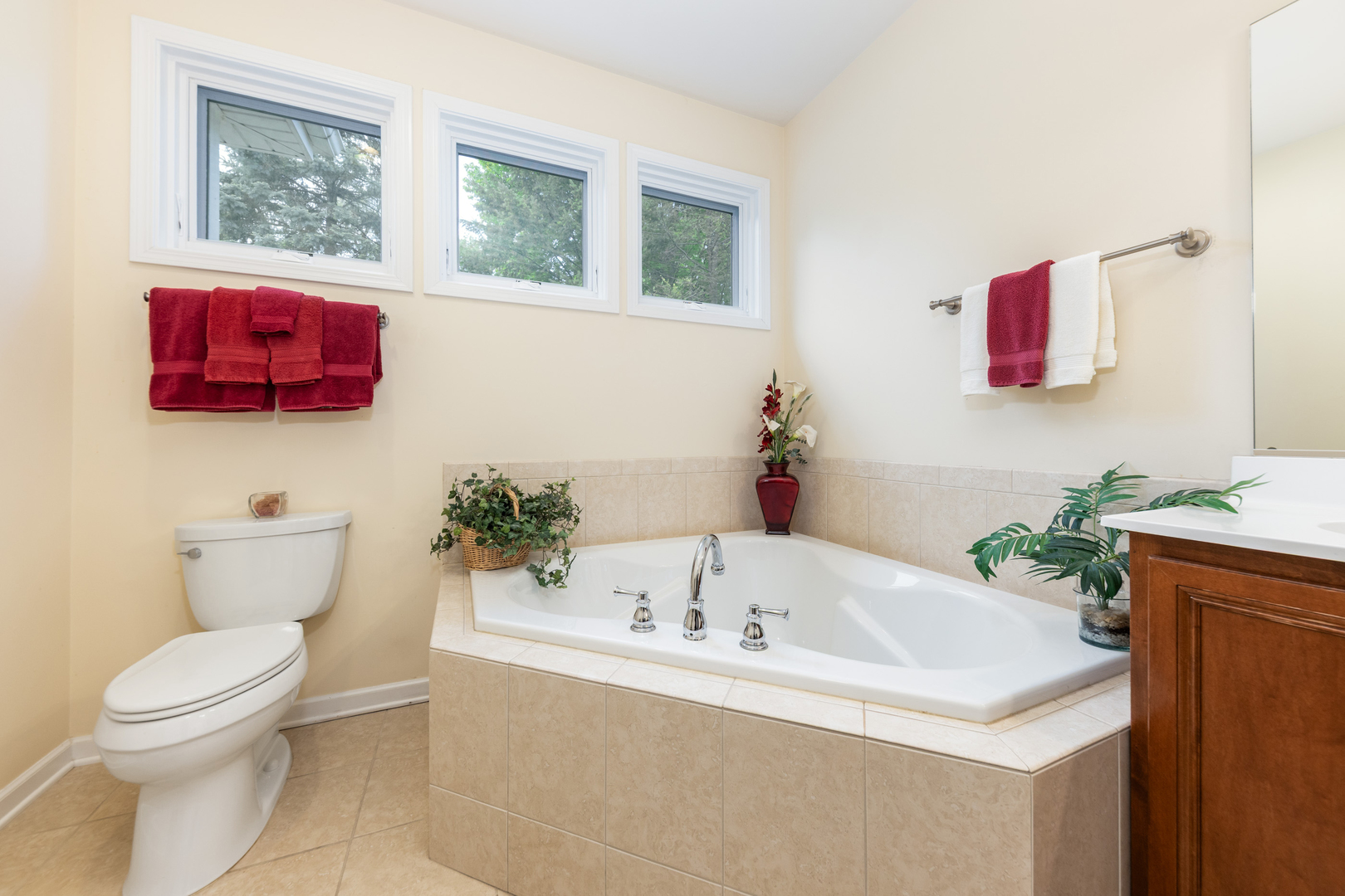 2701 West Walnut Court Woodridge IL 60517