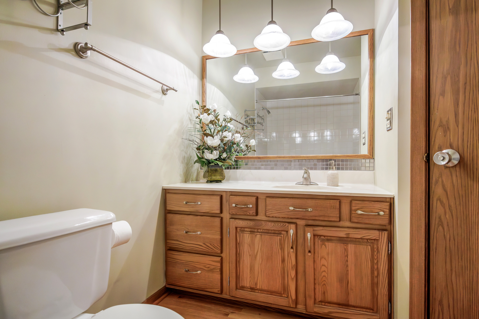1281 Tracie Drive Lake Zurich IL 60047