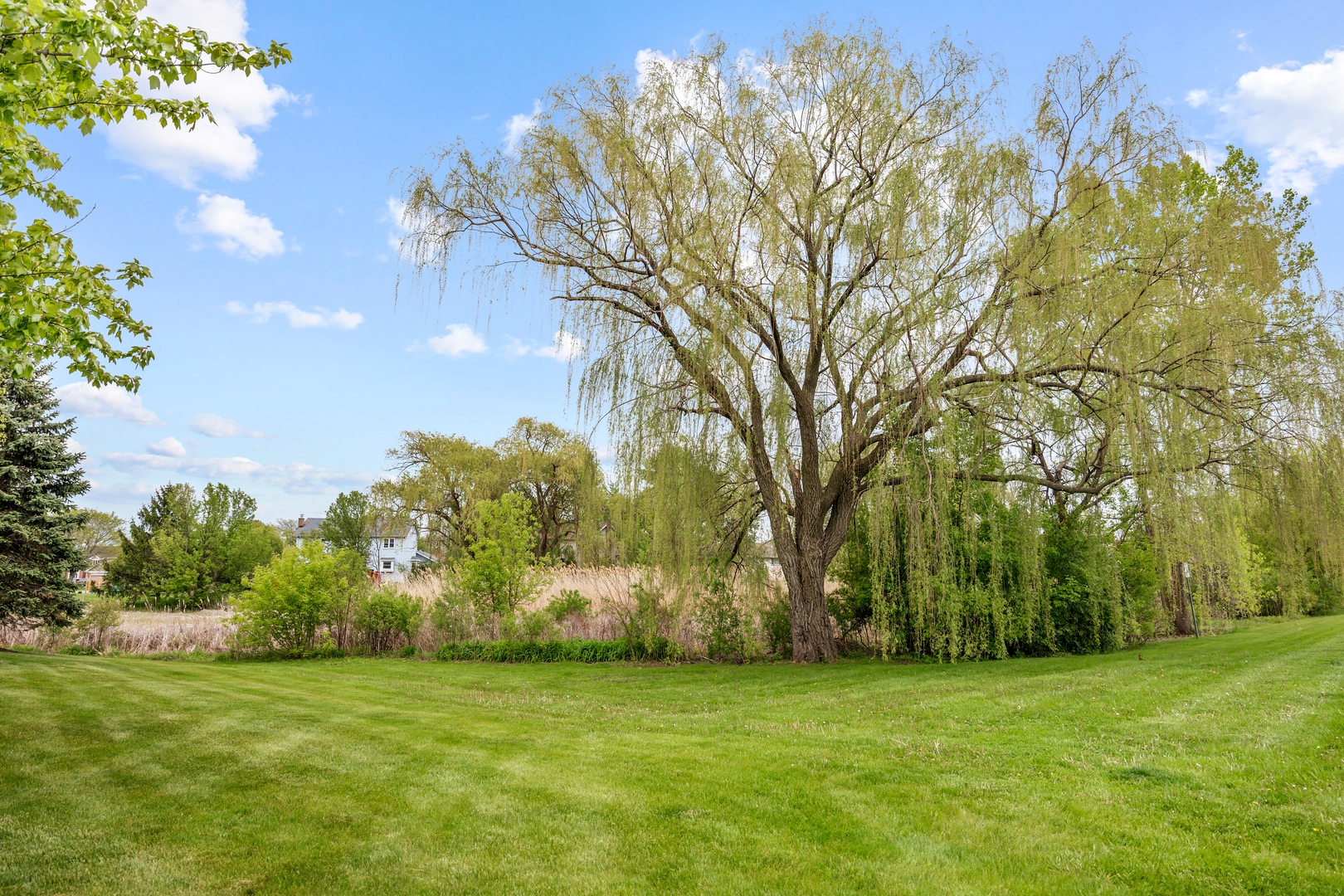 1281 Tracie Drive Lake Zurich IL 60047