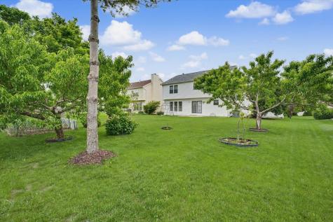 611 Buttercup Drive Savoy IL 61874