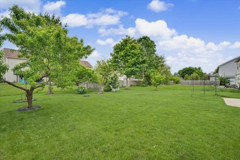 611 Buttercup Drive Savoy IL 61874