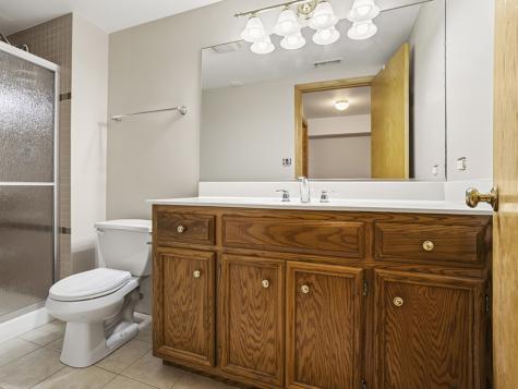 1153 Linden Circle Beecher IL 60401