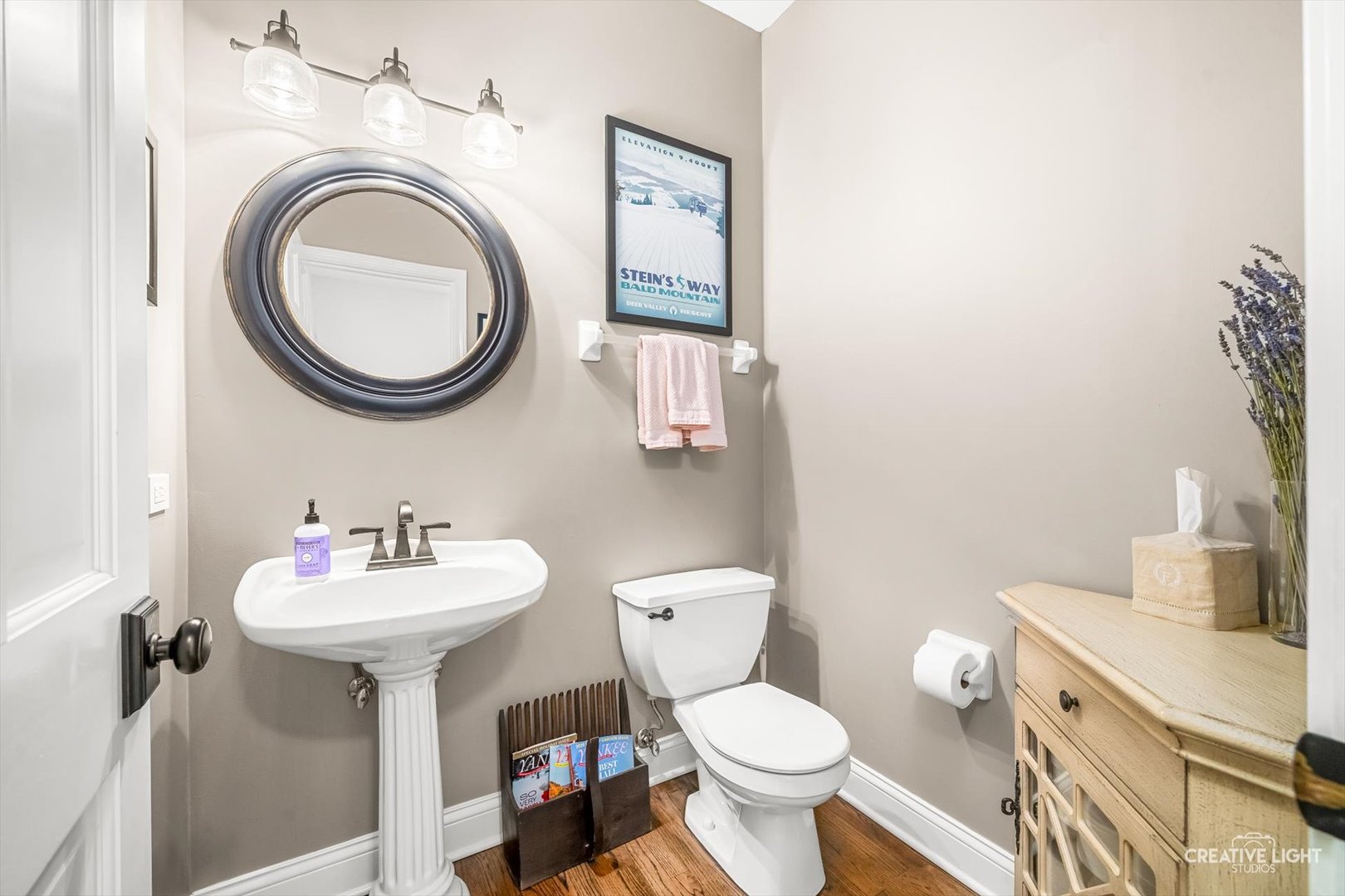 2603 Charlestowne Lane Naperville IL 60564