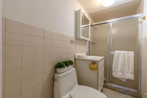 3031 Farner Court Riverwoods IL 60015