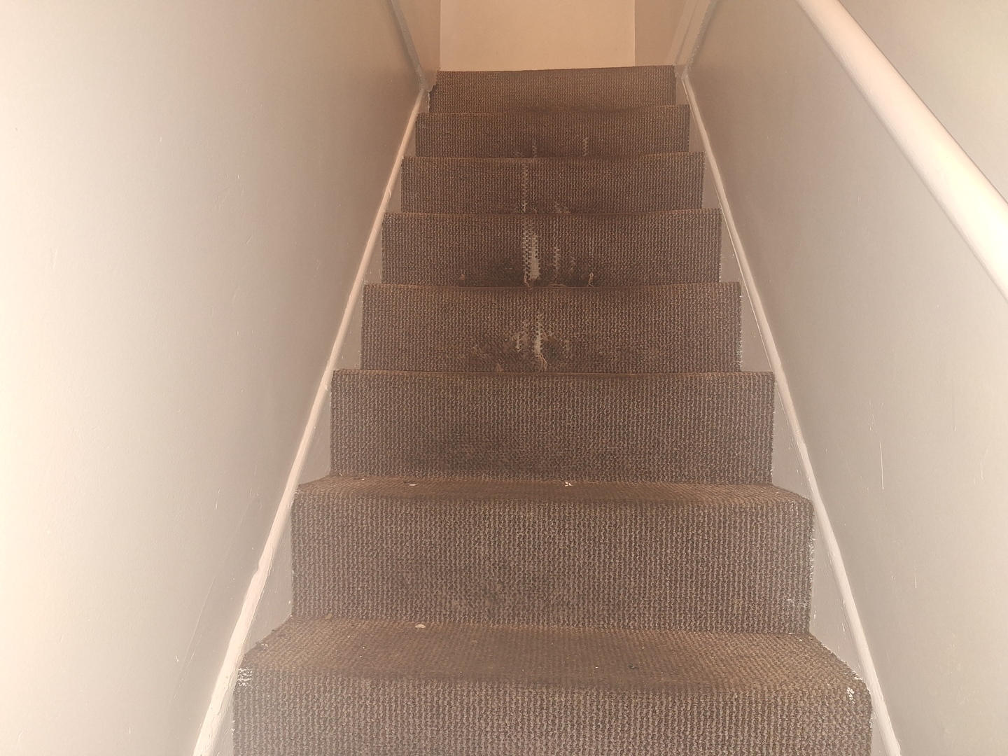 9351 South Manistee Avenue Chicago IL 60617