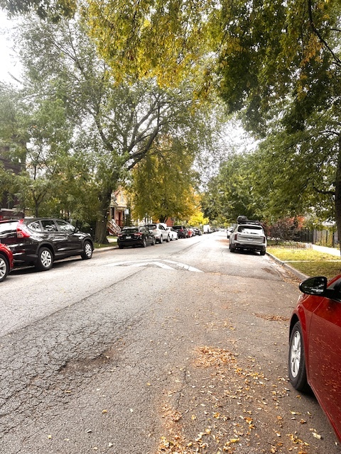 2925 North Troy Street Chicago IL 60618