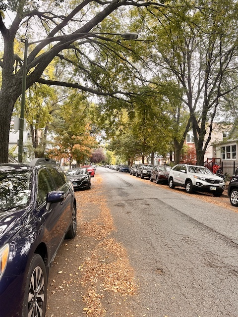 2925 North Troy Street Chicago IL 60618