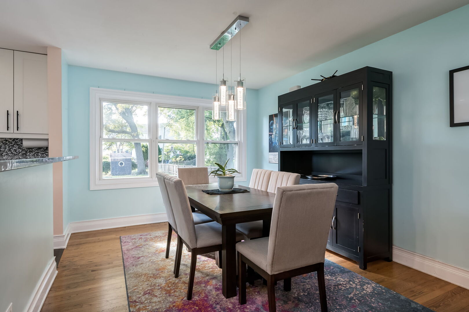 522 East Park Manor Court Elmhurst IL 60126