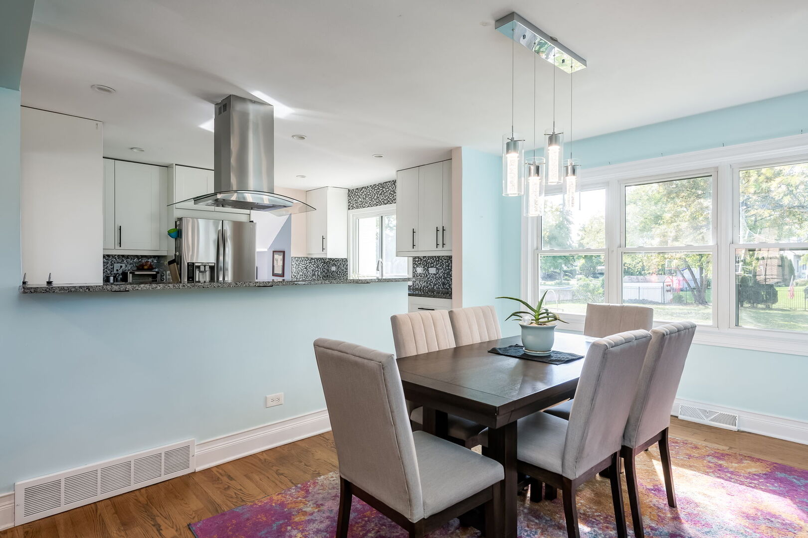 522 East Park Manor Court Elmhurst IL 60126