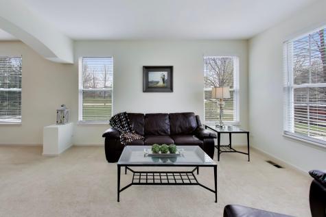 308 Cedar Ridge Drive Lake Villa IL 60046