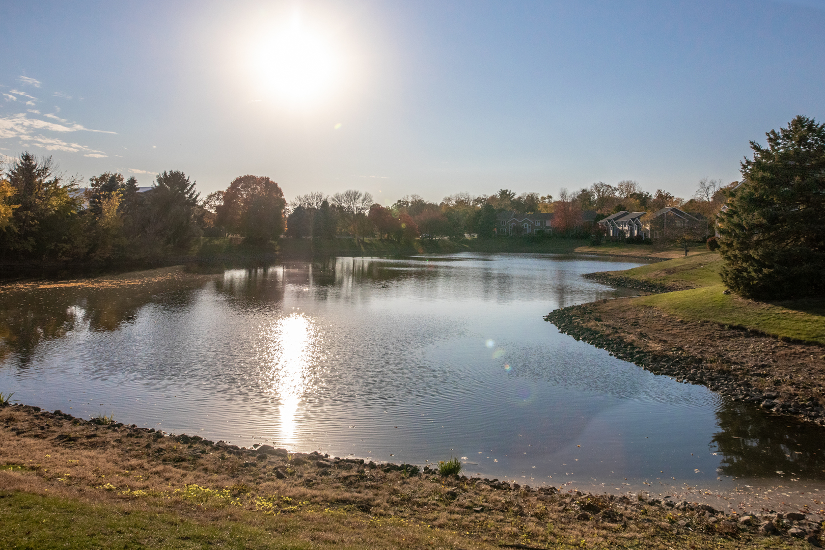 1068 Mattande Lane Naperville IL 60540