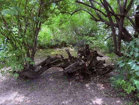 0000 Kankakee River Island Wilmington IL 60481