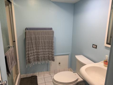 46 North Grant Drive Addison IL 60101