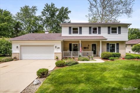 29 Tupelo Avenue Naperville IL 60540