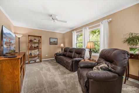 29 Tupelo Avenue Naperville IL 60540