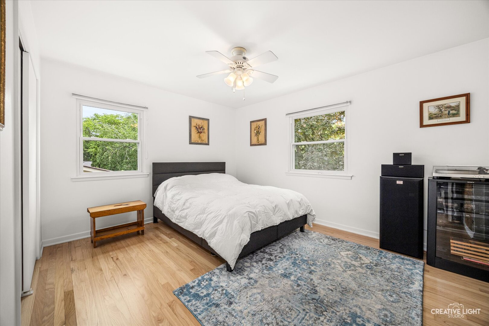 29 Tupelo Avenue Naperville IL 60540