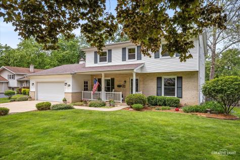 29 Tupelo Avenue Naperville IL 60540