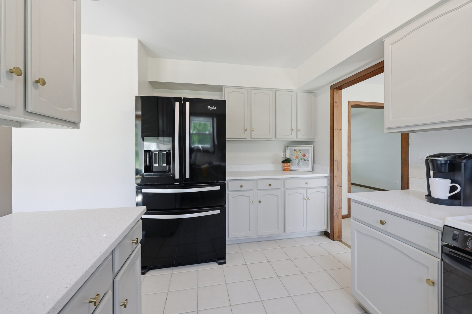 254 Woodville Lane Schaumburg IL 60193
