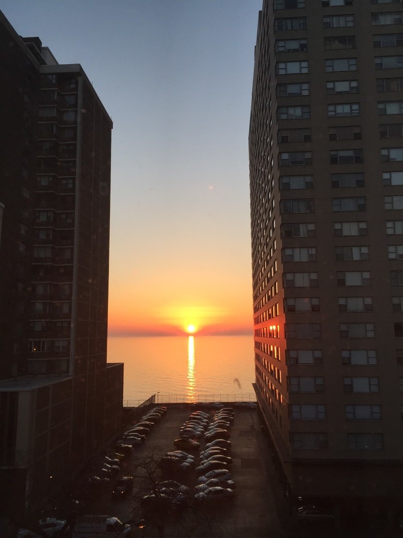 6300 North Sheridan Road Chicago IL 60660