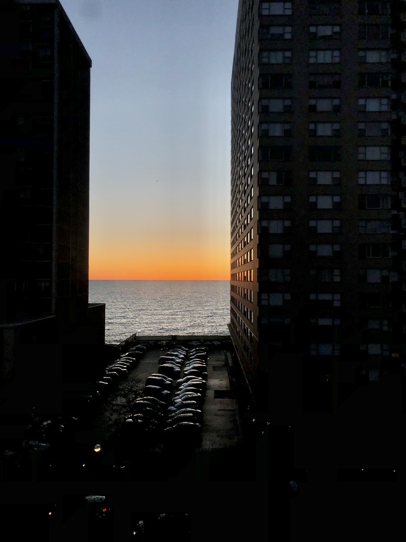 6300 North Sheridan Road Chicago IL 60660