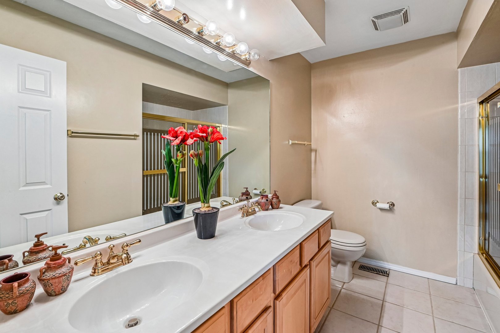 214 Carmelhead Lane Schaumburg IL 60193