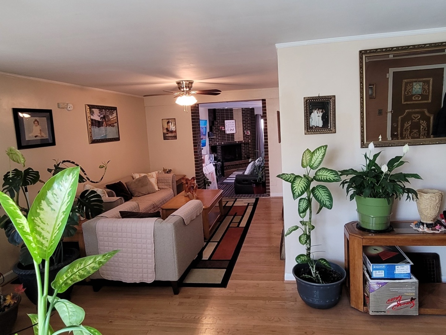 7432 West Gregory Street Chicago IL 60656