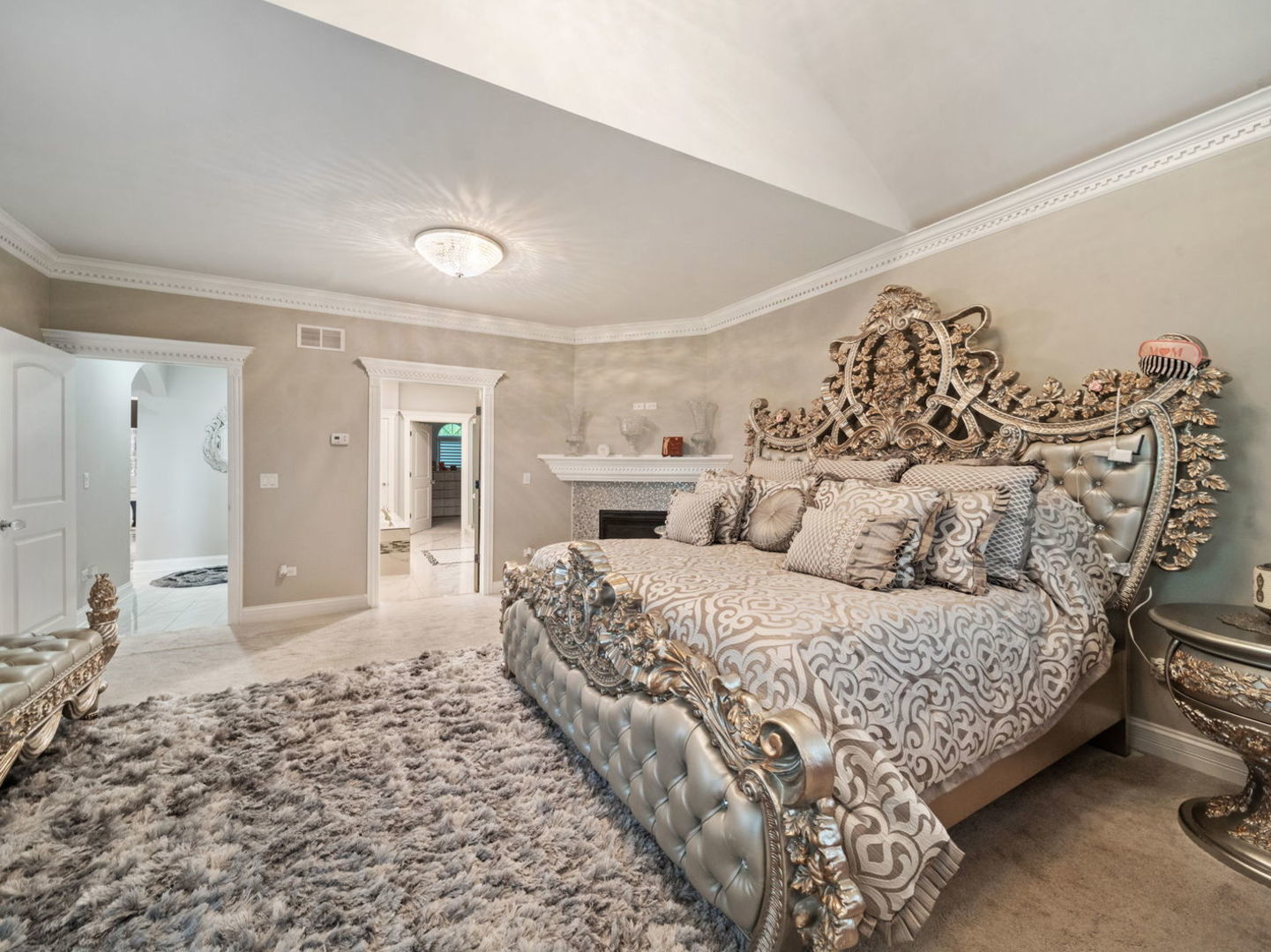 1171 Jefferson Drive Bolingbrook IL 60490