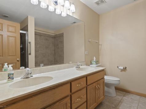 10802 Canterbury Drive Mokena IL 60448