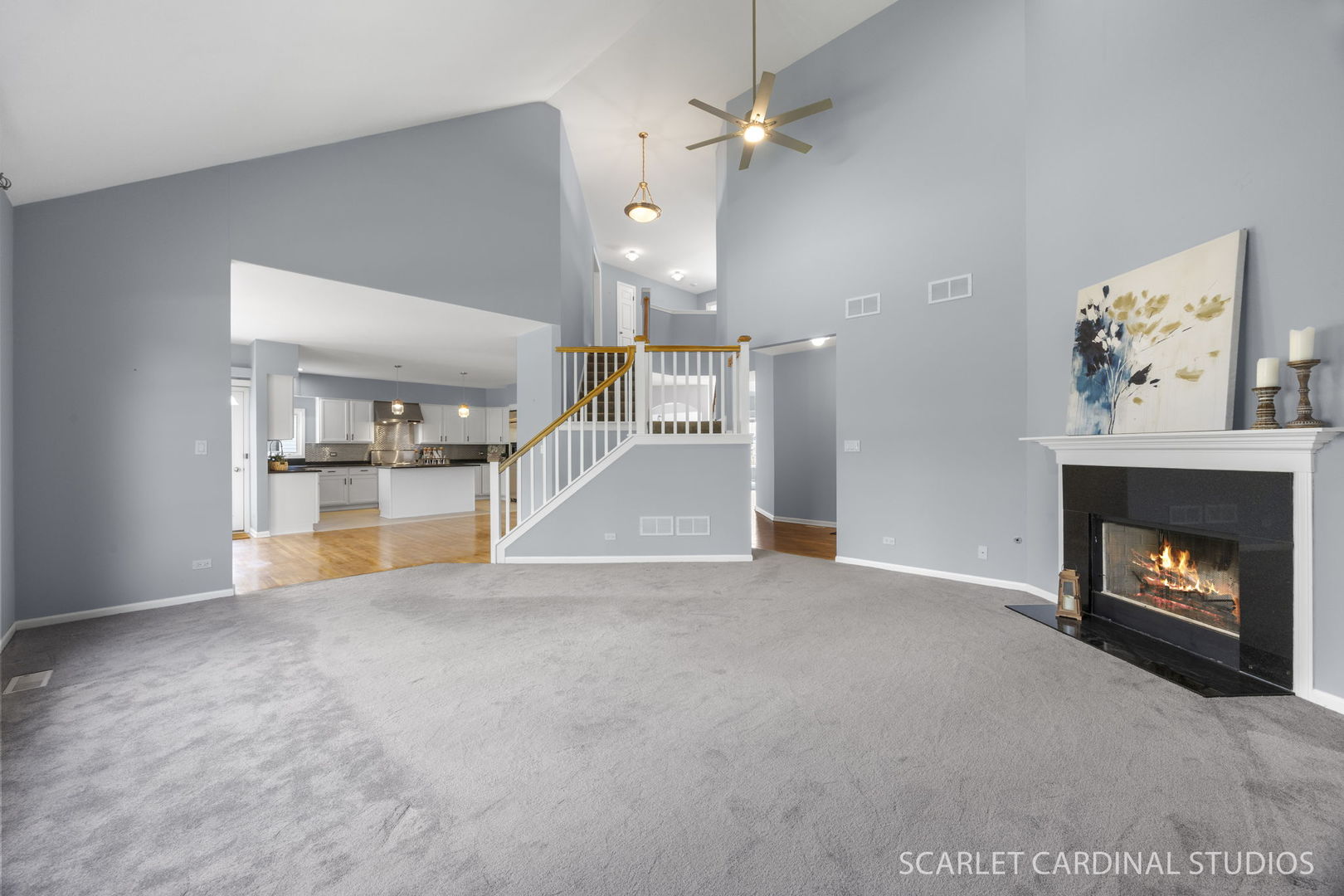 2494 Adamsway Drive Aurora IL 60502