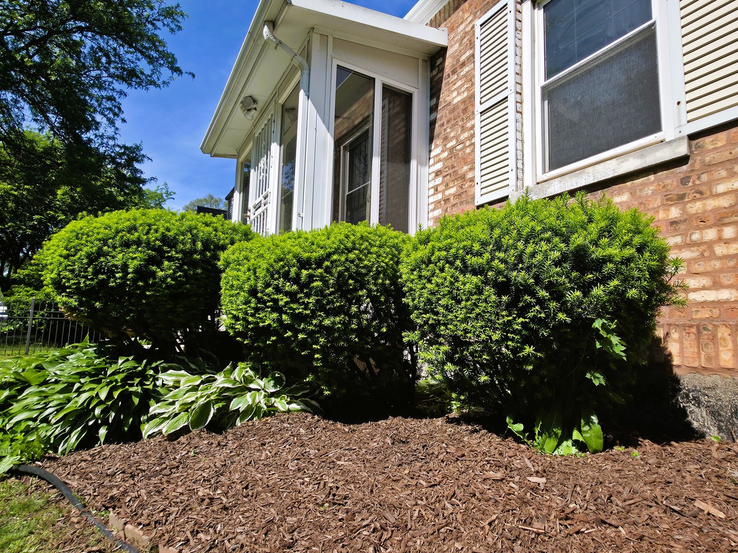 10055 South Oglesby Avenue Chicago IL 60617