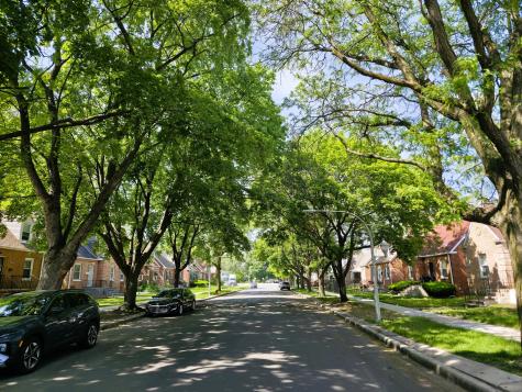 10055 South Oglesby Avenue Chicago IL 60617