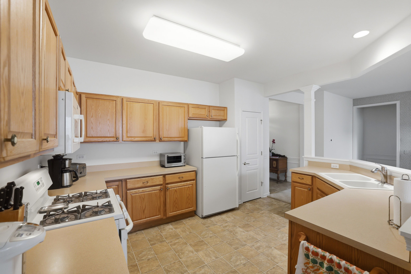 13372 Longmeadow Drive Huntley IL 60142