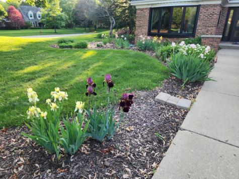 980 Persimmon Court St. Charles IL 60174