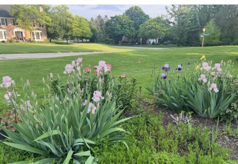 980 Persimmon Court St. Charles IL 60174