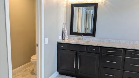 233 Lorraine Circle Bloomingdale IL 60108