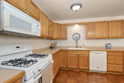 10252 Huntington Court Orland Park IL 60462