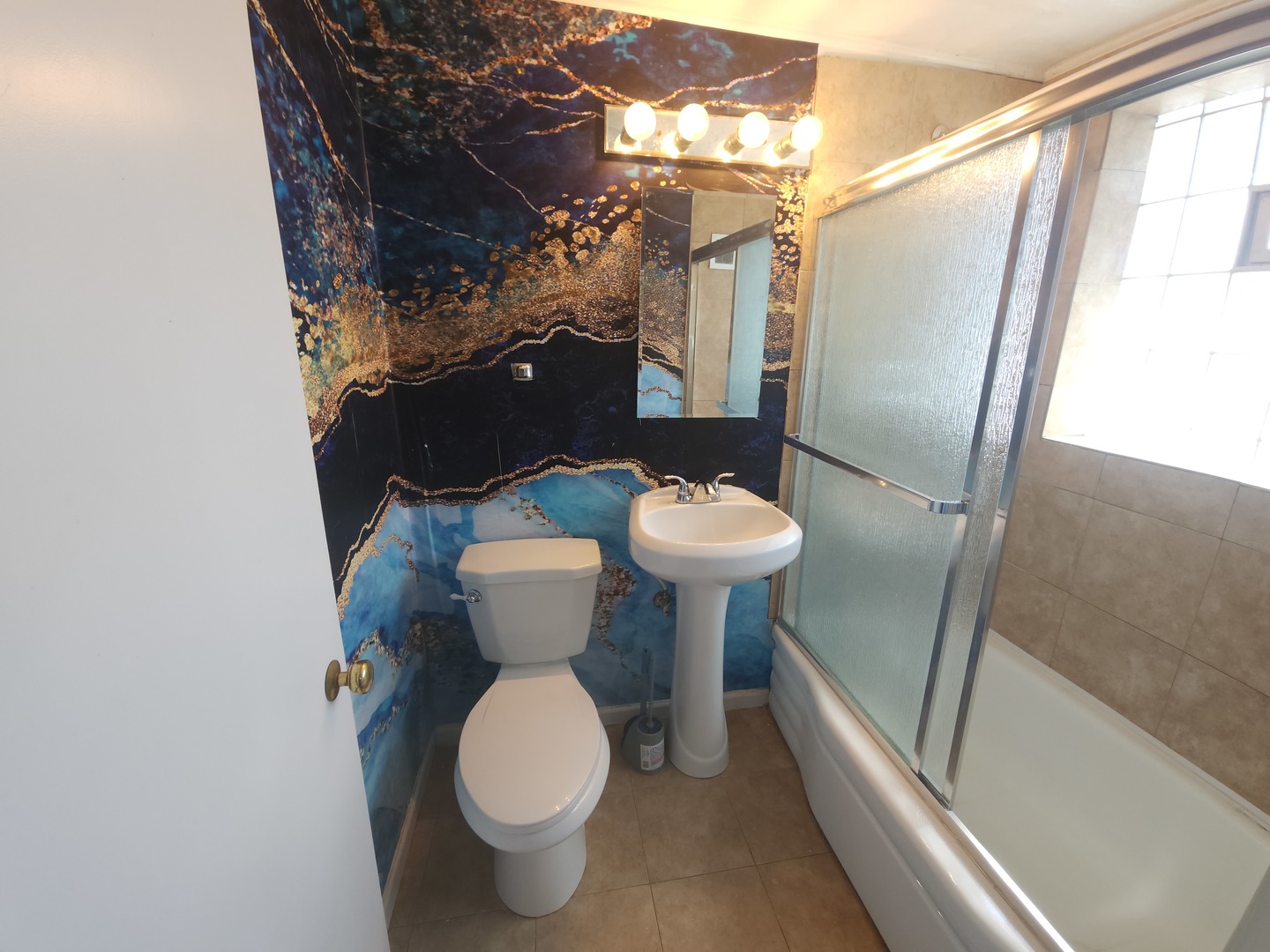 257 West Swann Street Chicago IL 60609