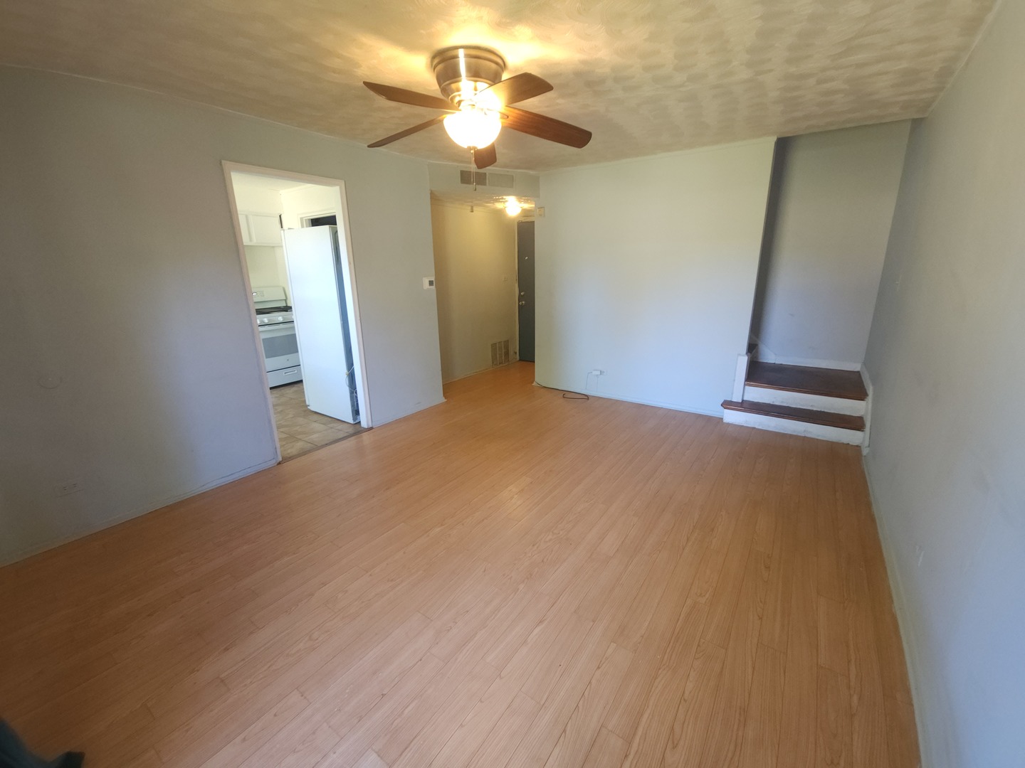 257 West Swann Street Chicago IL 60609
