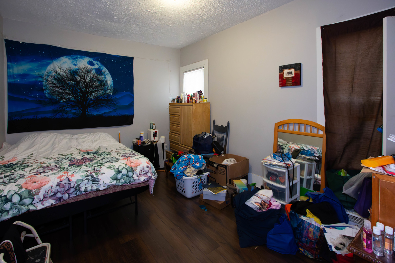 7815 South Emerald Avenue Chicago IL 60620