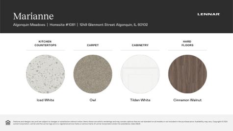 1249 Glenmont Street Algonquin IL 60102