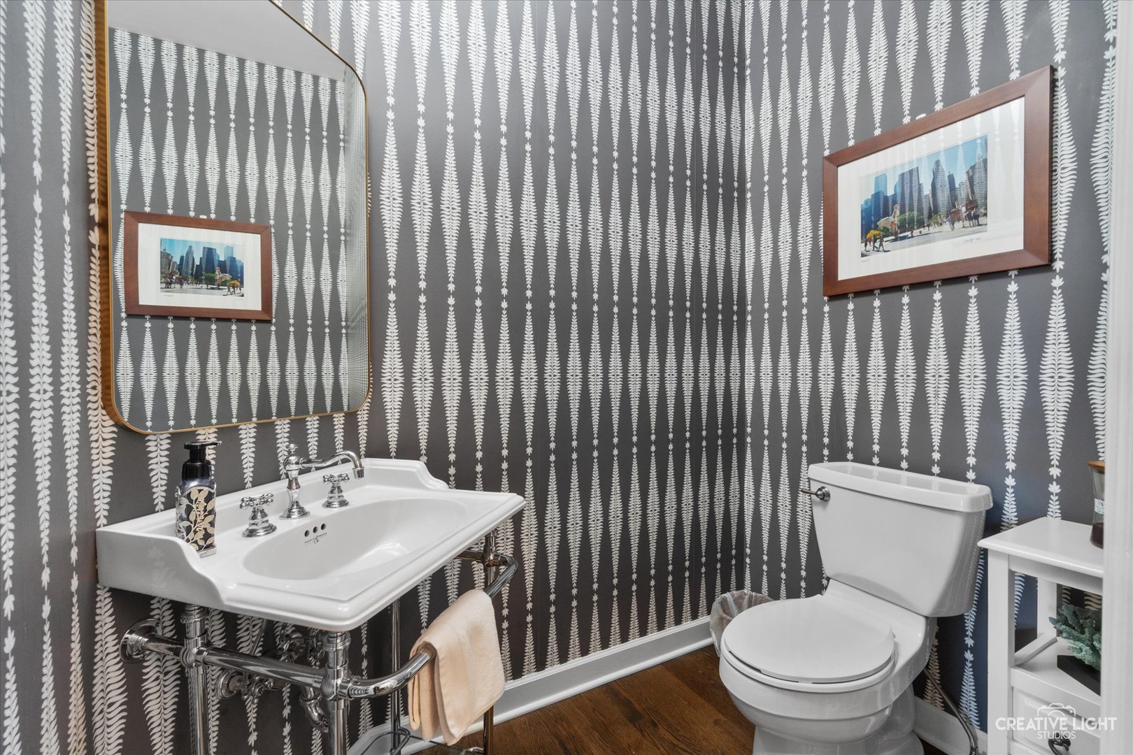 4459 Esquire Circle Naperville IL 60564