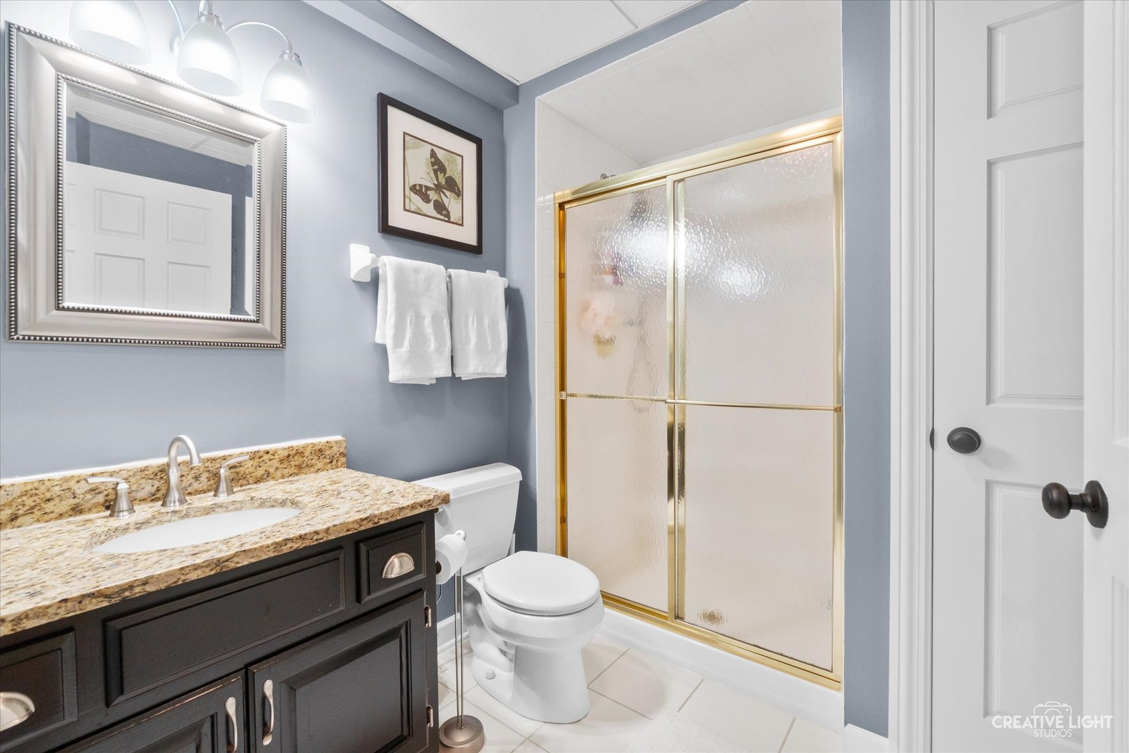 4459 Esquire Circle Naperville IL 60564