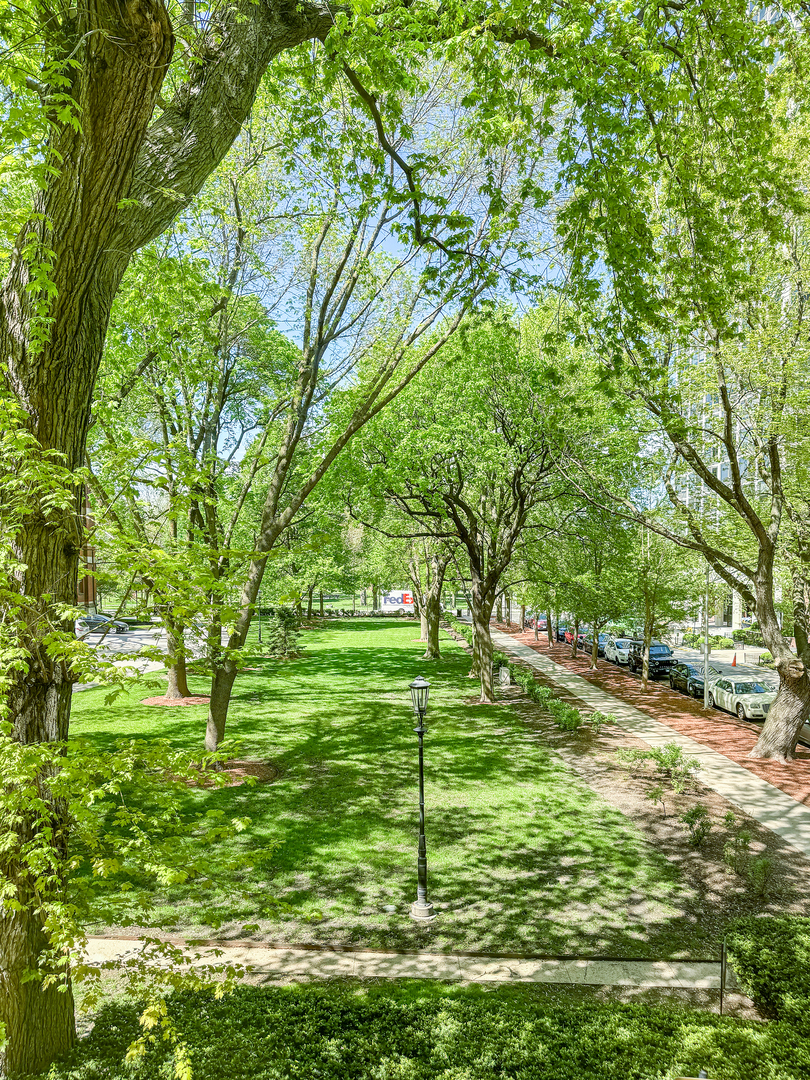 1524 North Astor Street Chicago IL 60610
