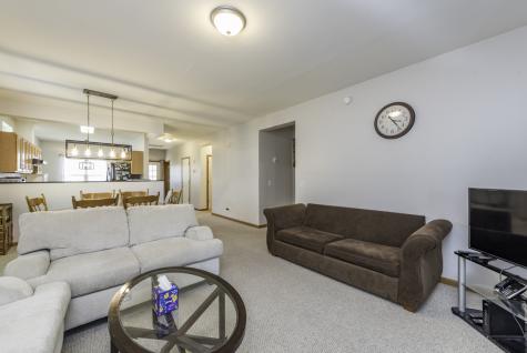 109 Hunter Court Grayslake IL 60030
