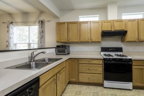 109 Hunter Court Grayslake IL 60030