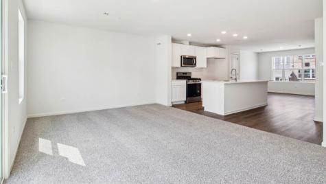 17349 Ulster Drive Tinley Park IL 60477