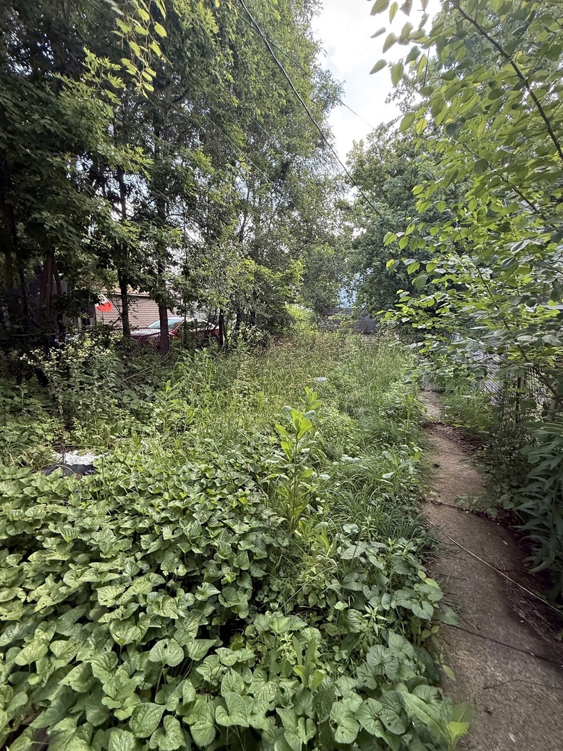 8417 South Escanaba Avenue Chicago IL 60617