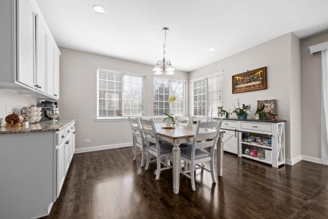 1863 Lake Bluff Lane Pingree Grove IL 60140