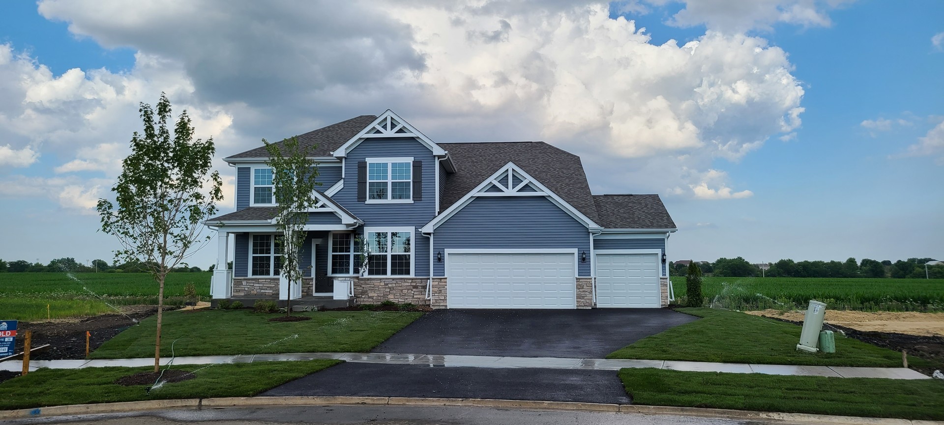 2920 Amaranth Court New Lenox IL 60451