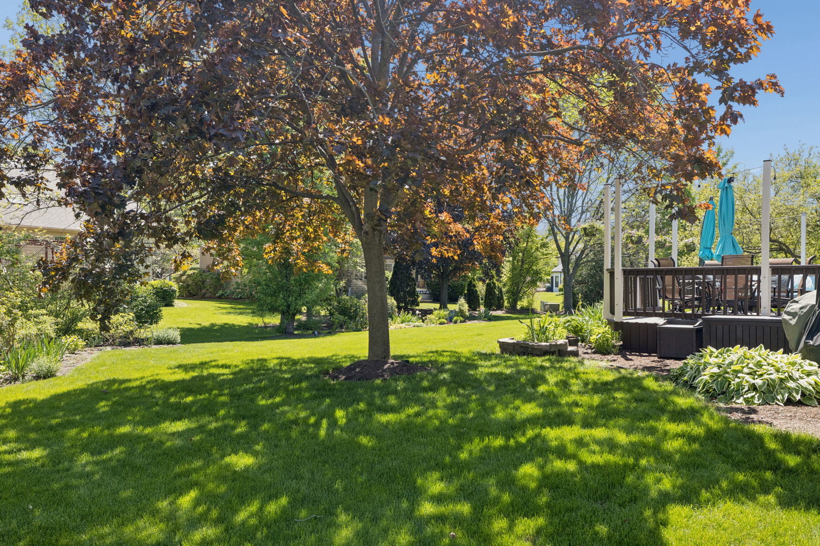 2624 Wendy Drive Naperville IL 60565